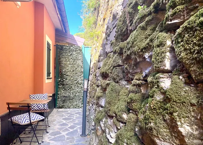 Casaviva - Bilo With Seaview And Parking In * Camogli